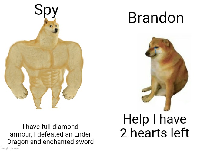 Spycakes vs TFG | Spy; Brandon; Help I have 2 hearts left; I have full diamond armour, I defeated an Ender Dragon and enchanted sword | image tagged in memes,buff doge vs cheems | made w/ Imgflip meme maker