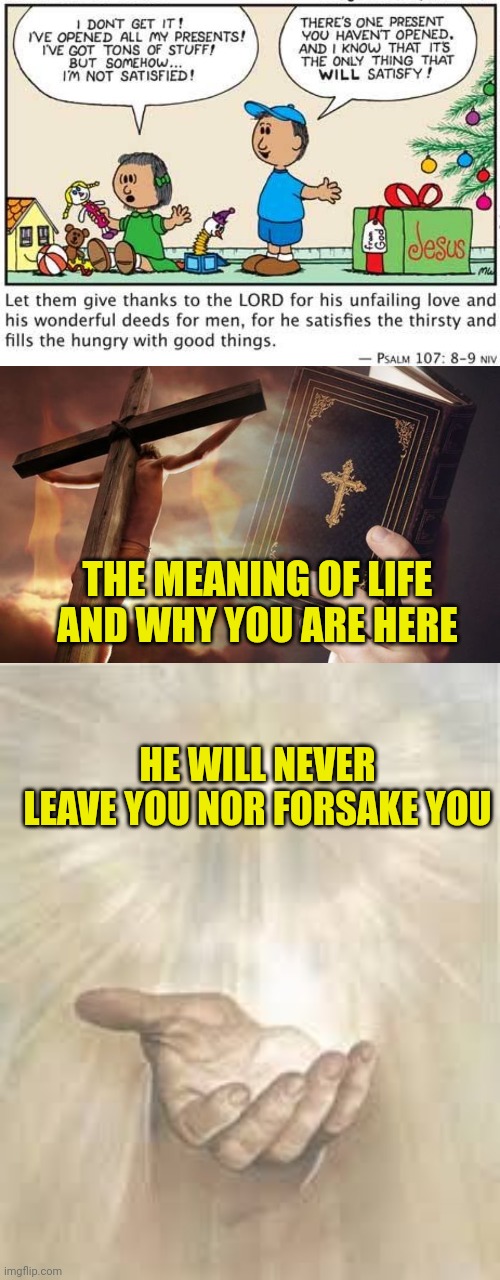 THE MEANING OF LIFE AND WHY YOU ARE HERE; HE WILL NEVER LEAVE YOU NOR FORSAKE YOU | image tagged in the only gift that satisfies,jesus cross bible,jesus beckoning | made w/ Imgflip meme maker