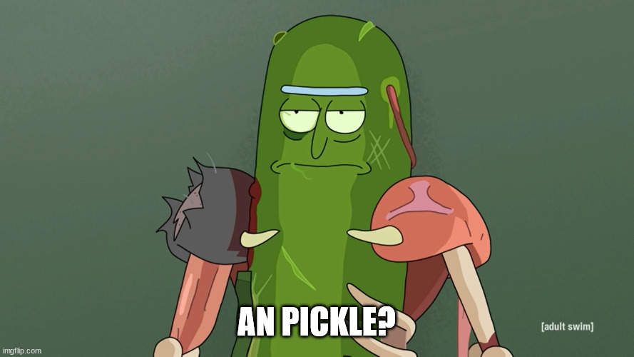 pickle rick | AN PICKLE? | image tagged in pickle rick | made w/ Imgflip meme maker
