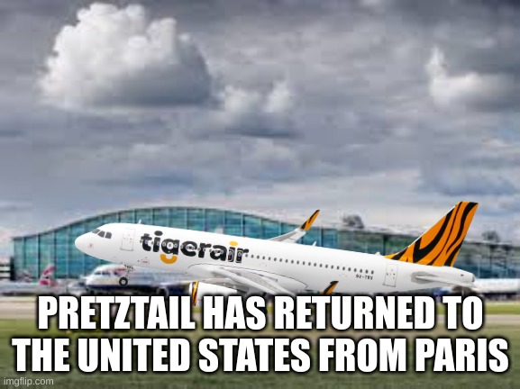 he'll be there for the execution as one of the guards | PRETZTAIL HAS RETURNED TO THE UNITED STATES FROM PARIS | image tagged in airport | made w/ Imgflip meme maker