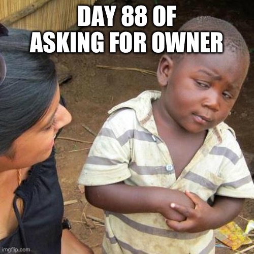 Third World Skeptical Kid | DAY 88 OF ASKING FOR OWNER | image tagged in memes,third world skeptical kid | made w/ Imgflip meme maker