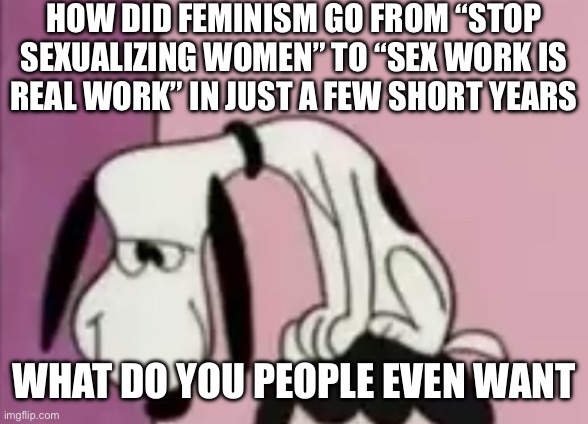 The snoops | HOW DID FEMINISM GO FROM “STOP SEXUALIZING WOMEN” TO “SEX WORK IS
REAL WORK” IN JUST A FEW SHORT YEARS; WHAT DO YOU PEOPLE EVEN WANT | image tagged in the snoops | made w/ Imgflip meme maker