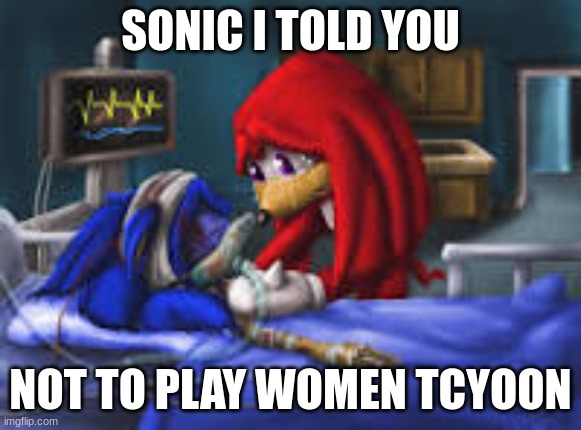 sonic i told you | SONIC I TOLD YOU; NOT TO PLAY WOMEN TCYOON | image tagged in sonic i told you | made w/ Imgflip meme maker