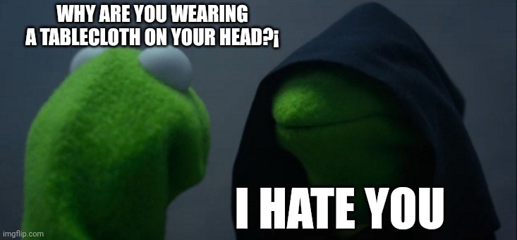 The duality of kermit | WHY ARE YOU WEARING A TABLECLOTH ON YOUR HEAD?¡; I HATE YOU | image tagged in memes,evil kermit | made w/ Imgflip meme maker