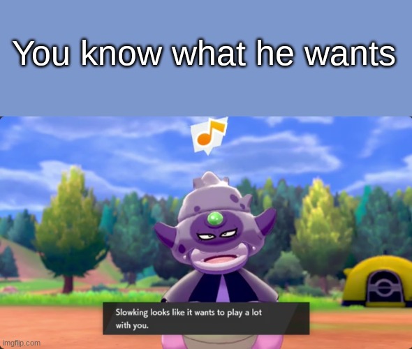 yeah i did reach max bond with him so..... | You know what he wants | image tagged in pokemon sword and shield | made w/ Imgflip meme maker
