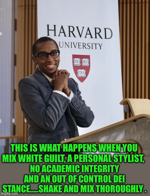 Yep | THIS IS WHAT HAPPENS WHEN YOU MIX WHITE GUILT, A PERSONAL STYLIST, NO ACADEMIC INTEGRITY AND AN OUT OF CONTROL DEI STANCE…..SHAKE AND MIX THOROUGHLY . | image tagged in democrats | made w/ Imgflip meme maker