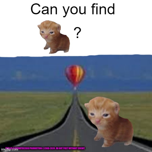 can you find the car???? (impossible!!!1!,!) | Can you find; ? THIS IS A GUTHATER2008 PRODUCTION ©2008-2024. DO NOT POST WITHOUT CREDIT. | image tagged in cat,hot air balloon,road,grass | made w/ Imgflip meme maker