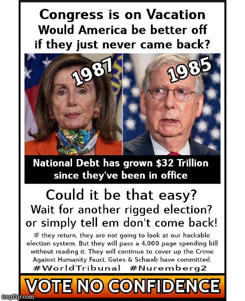 Do you really think the next election will fix anything? Time for something different. | image tagged in election,pelosi,congress | made w/ Imgflip meme maker