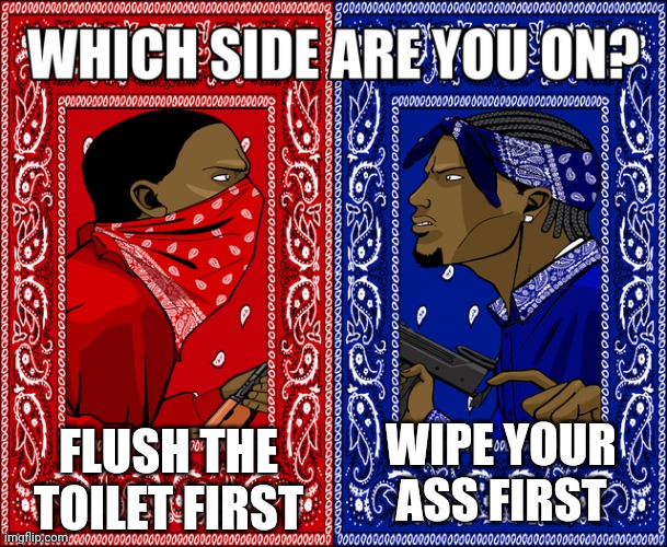I flush the toilet first personally | FLUSH THE TOILET FIRST; WIPE YOUR ASS FIRST | image tagged in which side are you on | made w/ Imgflip meme maker