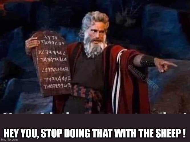 Sheep | HEY YOU, STOP DOING THAT WITH THE SHEEP ! | image tagged in moses,sheep | made w/ Imgflip meme maker