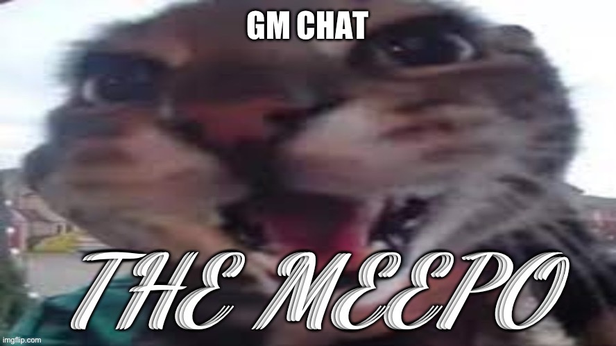 The Meepo | GM CHAT | image tagged in the meepo | made w/ Imgflip meme maker