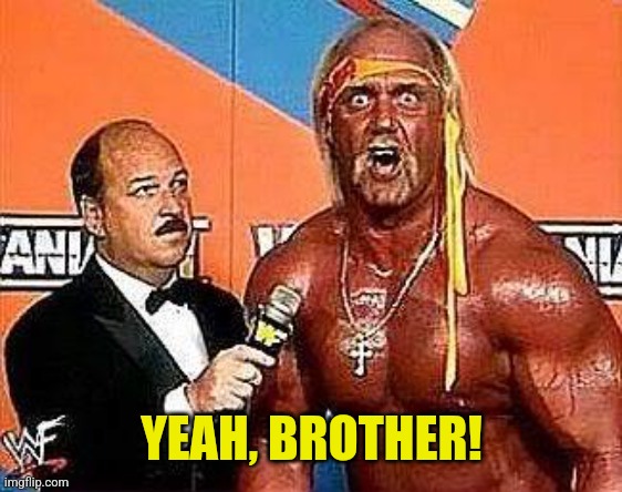 Hulk hogan | YEAH, BROTHER! | image tagged in hulk hogan | made w/ Imgflip meme maker