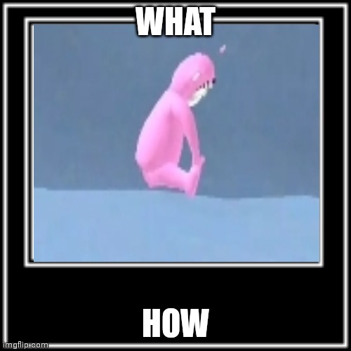 WHAT HOW | WHAT; HOW | image tagged in what how | made w/ Imgflip meme maker