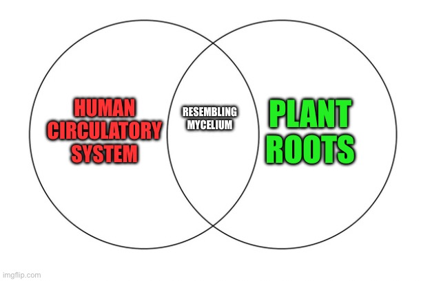 intertwined organisms | PLANT ROOTS; HUMAN CIRCULATORY SYSTEM; RESEMBLING MYCELIUM | image tagged in venn diagram | made w/ Imgflip meme maker