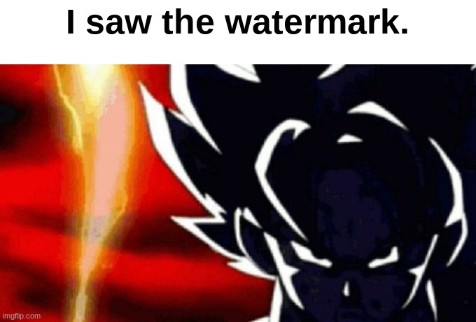 Goku Lightning | I saw the watermark. | image tagged in goku lightning | made w/ Imgflip meme maker