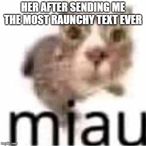 miau | HER AFTER SENDING ME THE MOST RAUNCHY TEXT EVER | image tagged in miau | made w/ Imgflip meme maker
