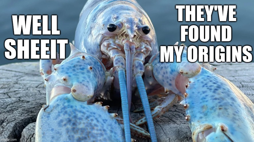 blue lobster | THEY'VE FOUND MY ORIGINS; WELL SHEEIT | image tagged in blue,lobster | made w/ Imgflip meme maker