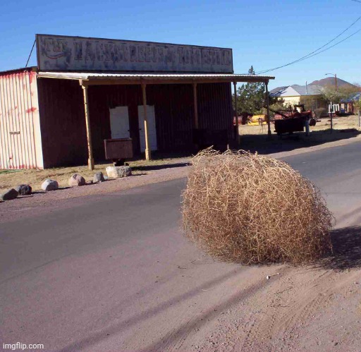 tumbleweed | image tagged in tumbleweed | made w/ Imgflip meme maker