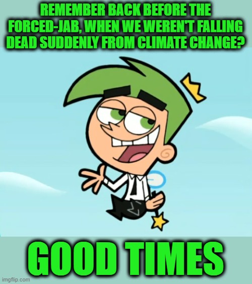 cosmo good times | REMEMBER BACK BEFORE THE FORCED-JAB, WHEN WE WEREN'T FALLING DEAD SUDDENLY FROM CLIMATE CHANGE? GOOD TIMES | image tagged in cosmo good times | made w/ Imgflip meme maker