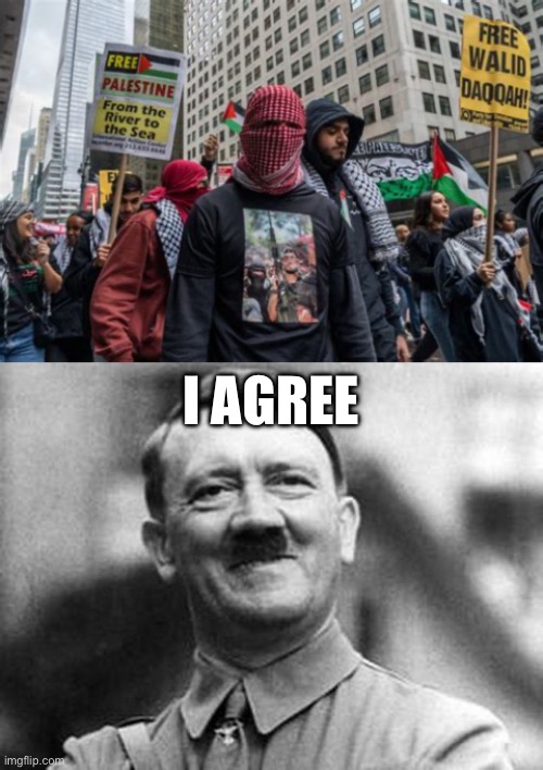 Anti Zionism Is Nazism | I AGREE | image tagged in adolf hitler | made w/ Imgflip meme maker