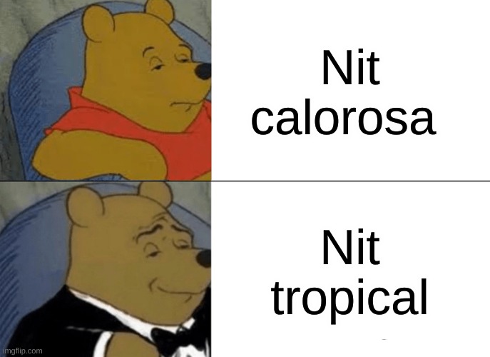 Memecatalà | Nit calorosa; Nit tropical | image tagged in memes,tuxedo winnie the pooh | made w/ Imgflip meme maker