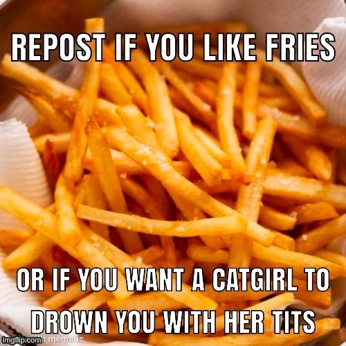 Repost is you love fries | image tagged in repost is you love fries | made w/ Imgflip meme maker