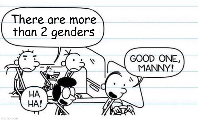 Bruh | There are more than 2 genders | image tagged in good one manny,diary of a wimpy kid | made w/ Imgflip meme maker