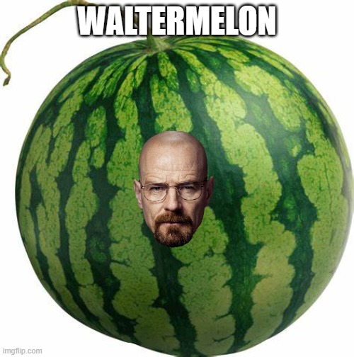 WALTERMELON | WALTERMELON | image tagged in funny,walter white | made w/ Imgflip meme maker