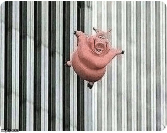 Pig jumping off | image tagged in pig jumping off | made w/ Imgflip meme maker