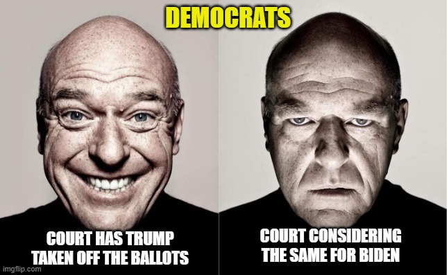 Good for the goose, good for the gander | DEMOCRATS; COURT HAS TRUMP TAKEN OFF THE BALLOTS; COURT CONSIDERING THE SAME FOR BIDEN | image tagged in democrats,liberals,woke,leftists,biden,dimwits | made w/ Imgflip meme maker