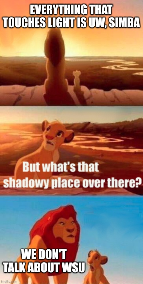 Thank you festive_dabiggyboy for the idea somewhat | EVERYTHING THAT TOUCHES LIGHT IS UW, SIMBA; WE DON'T TALK ABOUT WSU | image tagged in memes,simba shadowy place | made w/ Imgflip meme maker