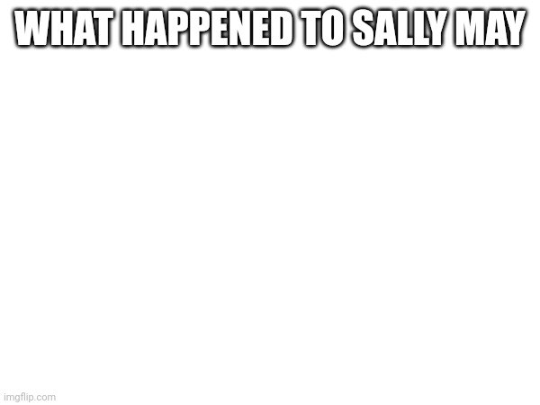 WHAT HAPPENED TO SALLY MAY | made w/ Imgflip meme maker
