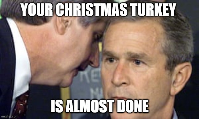 George Bush 9/11 | YOUR CHRISTMAS TURKEY; IS ALMOST DONE | image tagged in george bush 9/11 | made w/ Imgflip meme maker