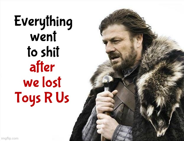 Toys R Us | Everything went to shit; after we lost Toys R Us | image tagged in memes,brace yourselves x is coming,where a kid can be a kid,i don't wanna grow up,i'm a toys r us kid,toys r us | made w/ Imgflip meme maker