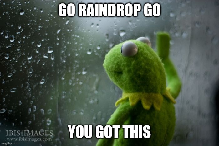 kermit window | GO RAINDROP GO; YOU GOT THIS | image tagged in kermit window | made w/ Imgflip meme maker
