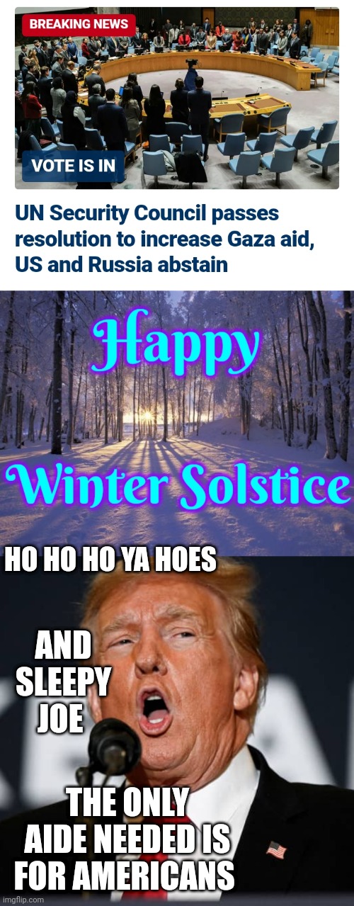 Cut off the hoe let America grow | HO HO HO YA HOES; AND SLEEPY JOE; THE ONLY AIDE NEEDED IS FOR AMERICANS | image tagged in donald trump,funny memes,christmas memes | made w/ Imgflip meme maker