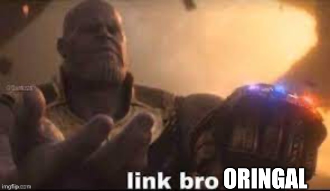 link bro | ORINGAL | image tagged in link bro | made w/ Imgflip meme maker