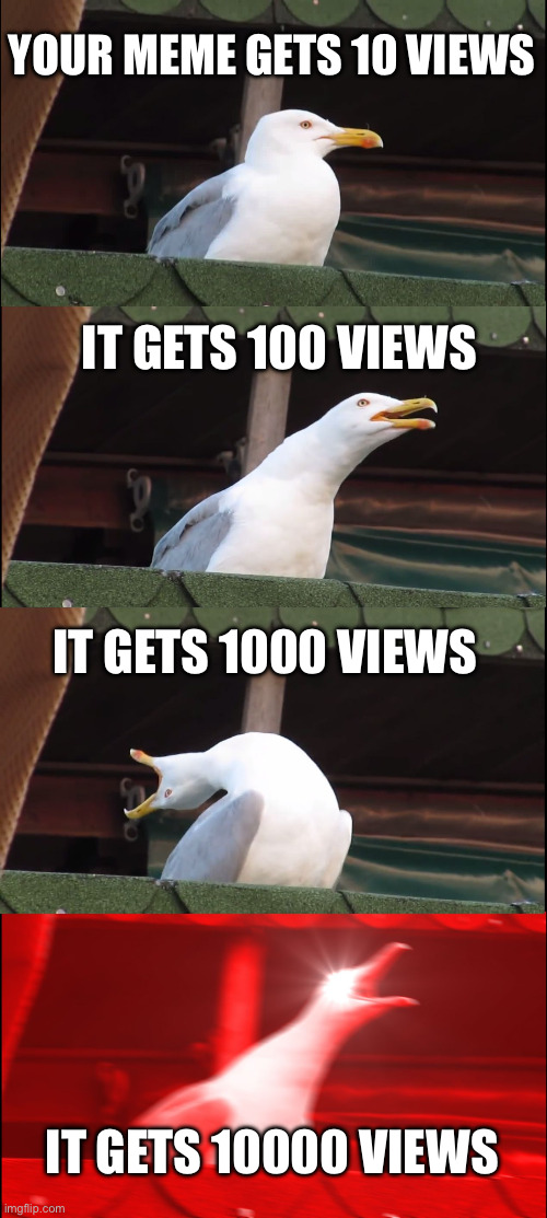 It’s true though when you are new to the community | YOUR MEME GETS 10 VIEWS; IT GETS 100 VIEWS; IT GETS 1000 VIEWS; IT GETS 10000 VIEWS | image tagged in memes,inhaling seagull | made w/ Imgflip meme maker