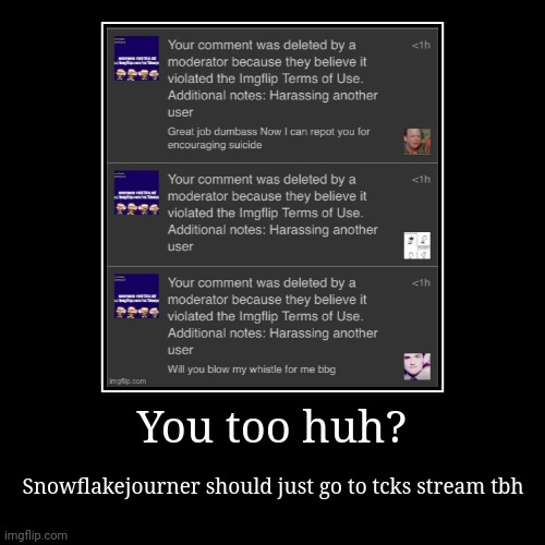 You too huh? | Snowflakejourner should just go to tcks stream tbh | image tagged in funny,demotivationals | made w/ Imgflip demotivational maker