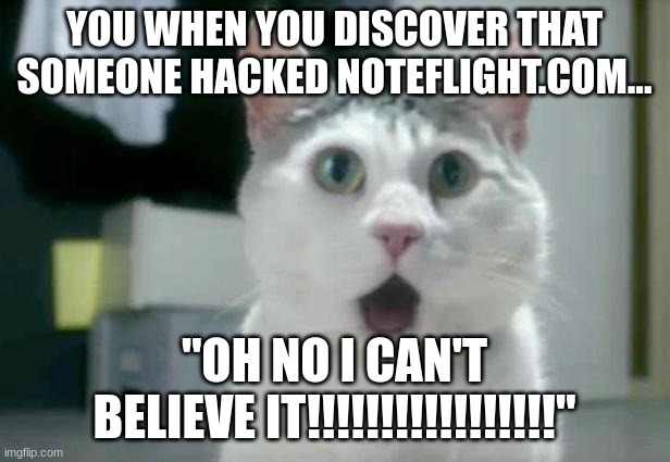 OMG Cat Meme | YOU WHEN YOU DISCOVER THAT SOMEONE HACKED NOTEFLIGHT.COM... "OH NO I CAN'T BELIEVE IT!!!!!!!!!!!!!!!!!" | image tagged in memes,omg cat | made w/ Imgflip meme maker