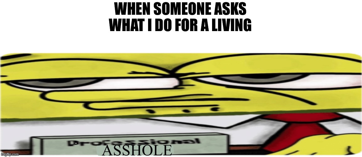 Professional (Blank) Sponge bob | WHEN SOMEONE ASKS WHAT I DO FOR A LIVING; ASSHOLE | image tagged in professional blank sponge bob | made w/ Imgflip meme maker