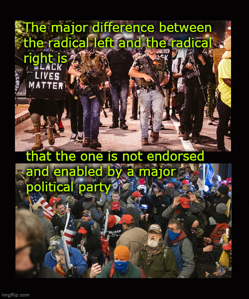 Telling apart; the radical left and the radical right | The major difference between
the radical left and the radical 
right is; that the one is not endorsed
and enabled by a major 
political party | image tagged in radical left,radical right,republican party | made w/ Imgflip meme maker