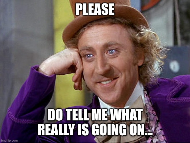 Big Willy Wonka Tell Me Again | PLEASE; DO TELL ME WHAT REALLY IS GOING ON... | image tagged in big willy wonka tell me again | made w/ Imgflip meme maker