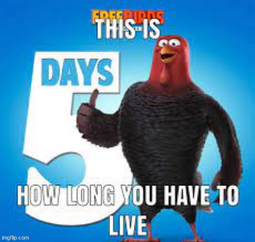 this is how long you have to live | image tagged in this is how long you have to live | made w/ Imgflip meme maker