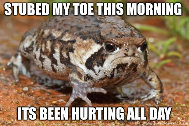 my toe hurts | STUBBED MY TOE THIS MORNING; ITS BEEN HURTING ALL DAY | image tagged in memes,grumpy toad | made w/ Imgflip meme maker