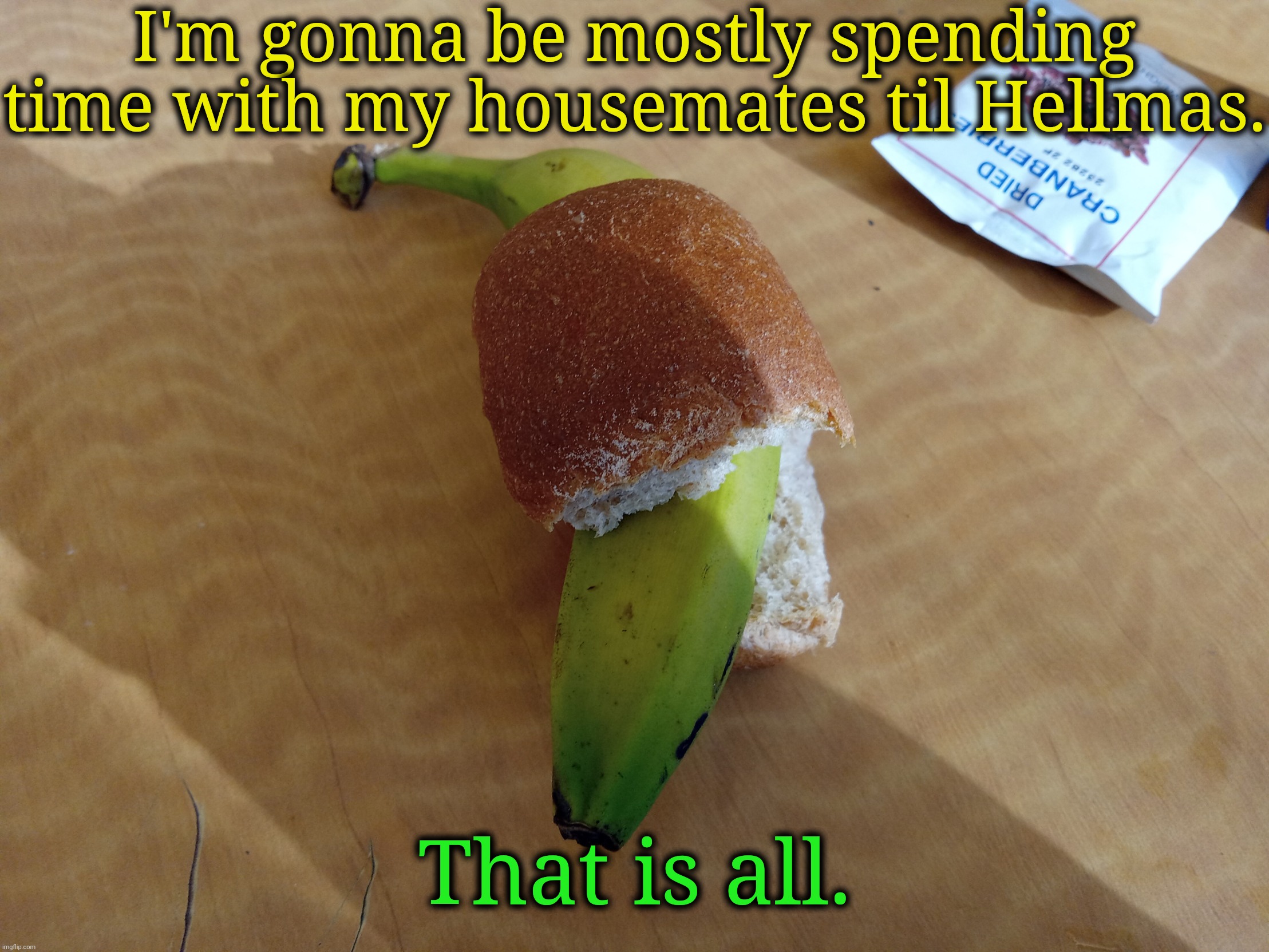 Banana bread | I'm gonna be mostly spending time with my housemates til Hellmas. That is all. | image tagged in banana bread | made w/ Imgflip meme maker