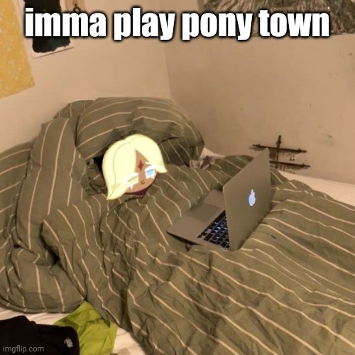 pur vaniller on duh puter | imma play pony town | image tagged in pur vaniller on duh puter | made w/ Imgflip meme maker