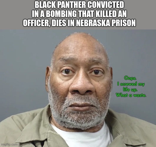 Black Panther Dead | BLACK PANTHER CONVICTED IN A BOMBING THAT KILLED AN OFFICER, DIES IN NEBRASKA PRISON; Oops.  I screwed my life up.  What a waste. | image tagged in black panther,convincted,dead,african american male | made w/ Imgflip meme maker