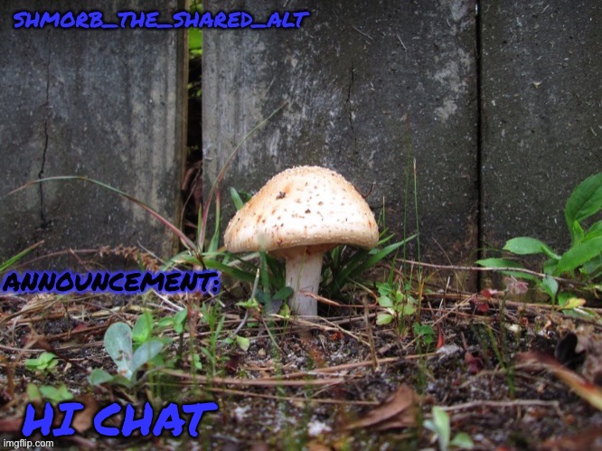 Shmorb temp | HI CHAT | image tagged in shmorb temp | made w/ Imgflip meme maker