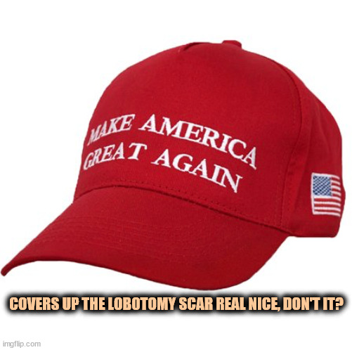 Hides it real good. | COVERS UP THE LOBOTOMY SCAR REAL NICE, DON'T IT? | image tagged in maga hat,lobotomy,brain dead | made w/ Imgflip meme maker